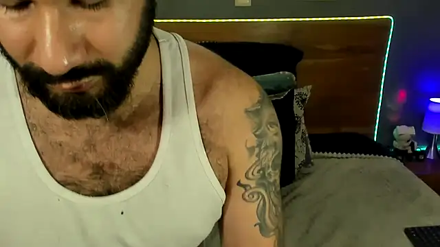 Prometeo-grizzly webcam