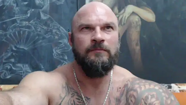 viking_30 webcam