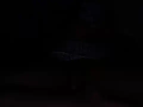 6_inches_dick webcam