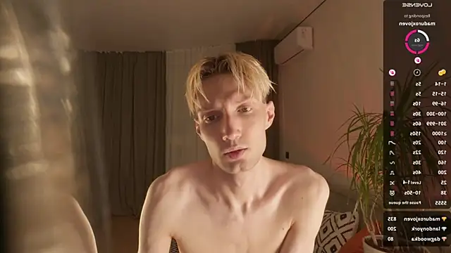 artkita webcam