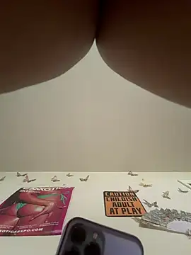LeBimbo webcam