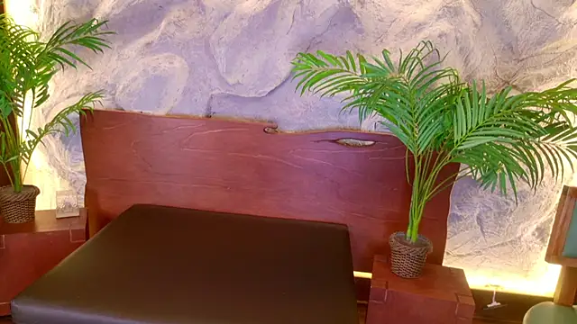 Kaaory live webcam show