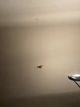 crisfootlicker webcam