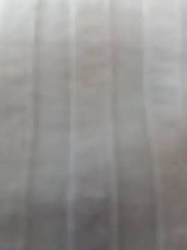 Nyxie8 webcam