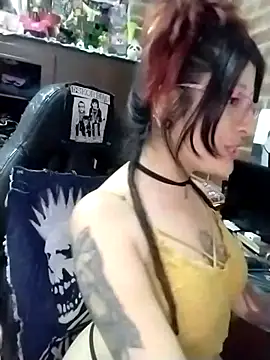 _Alaskamisa webcam