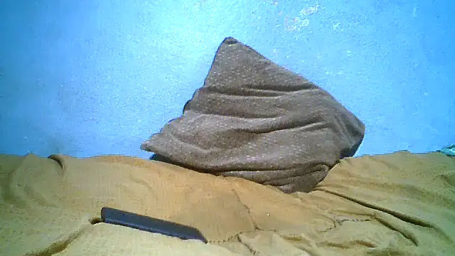 little__joy webcam