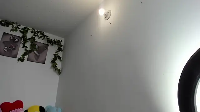 Eli_dl webcam