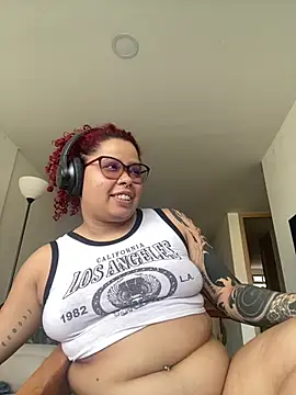 6nalanie webcam