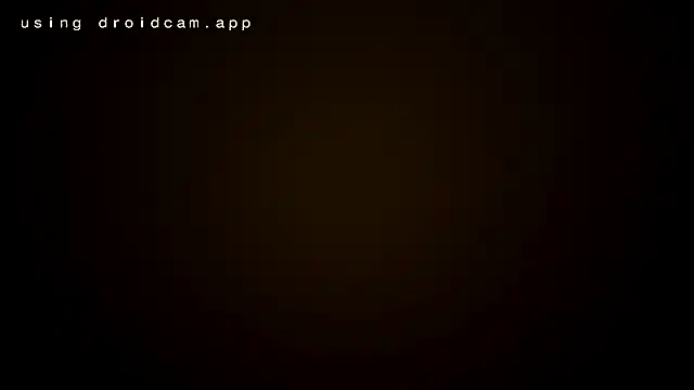 bigasssx1 webcam