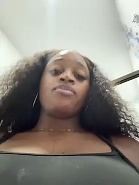 darle_volant webcam