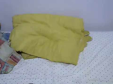playfullnova webcam