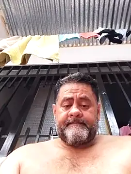 daddy_mao webcam
