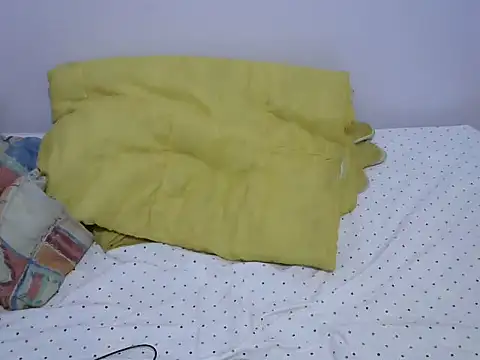 playfullnova webcam