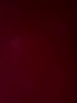 ScaraAndTomy webcam