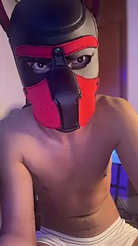 zamir333 live cam on StripChat