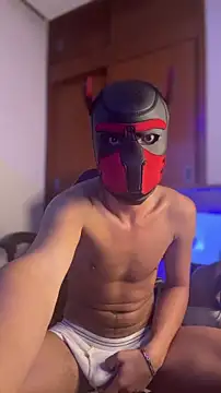 zamir333 webcam