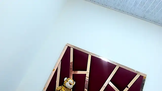 Shelet_Cooni_Ts webcam