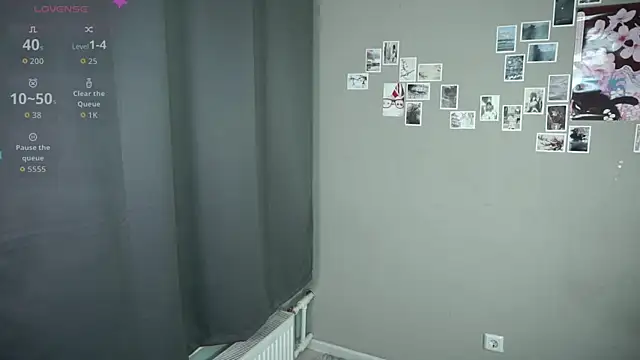 DellaLeck webcam