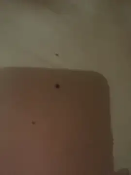 Alexia_Lerner webcam