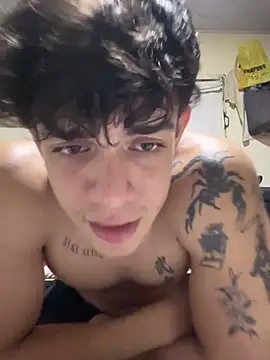 valdren_vylord webcam
