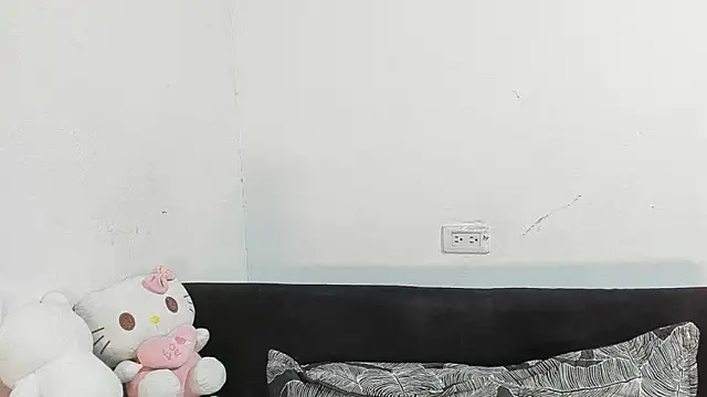 Eirlysx webcam