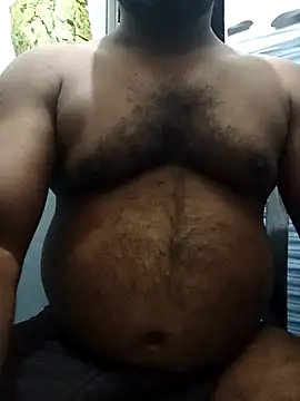 Hiptonos webcam