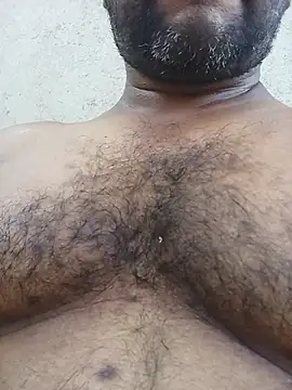 Hiptonos live cam