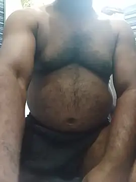 Hiptonos webcam