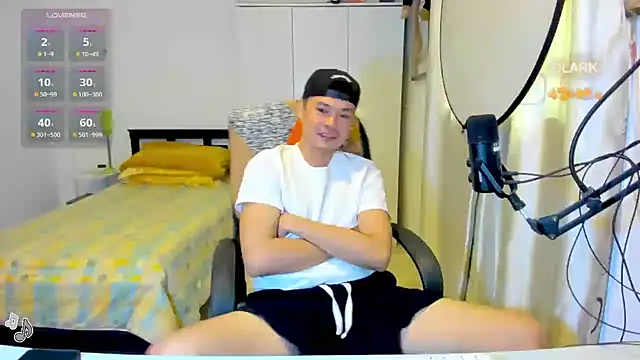 clarkdangerous webcam