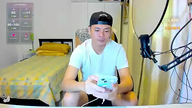 clarkdangerous webcam