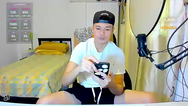 clarkdangerous webcam