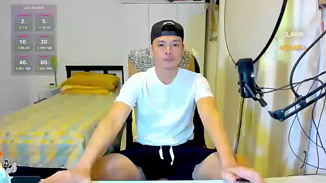 clarkdangerous webcam