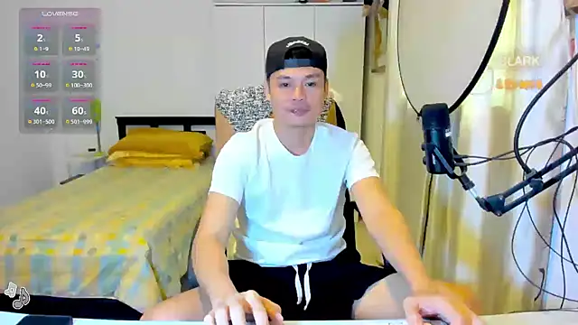 clarkdangerous webcam