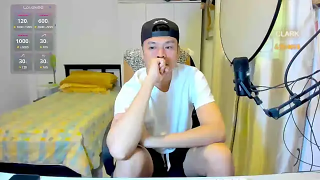 clarkdangerous webcam
