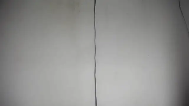 Fox_Loves webcam