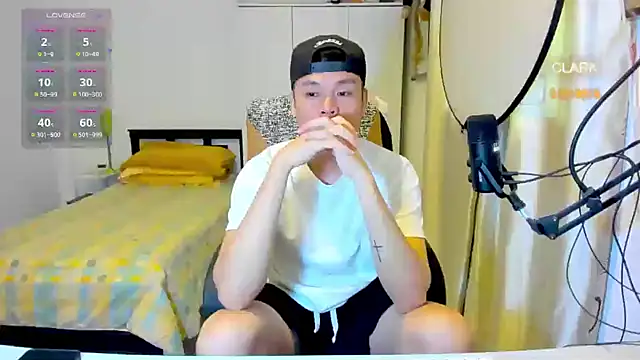 clarkdangerous webcam