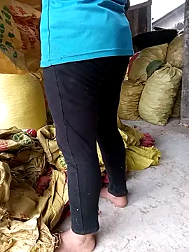 Bella-Camel webcam