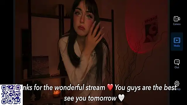 secrettape webcam