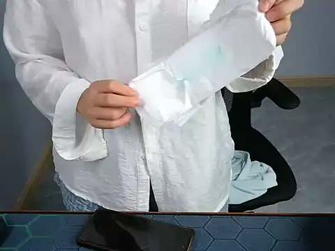 L_We webcam