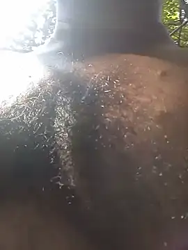 Hiptonos live cam