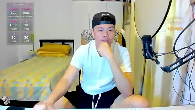 clarkdangerous webcam