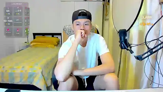 clarkdangerous webcam