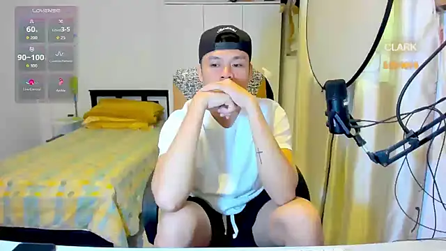clarkdangerous webcam