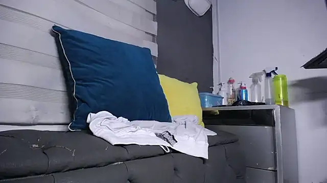 dirty_27cms webcam