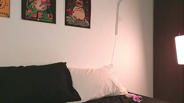 Aurorabeck_ webcam