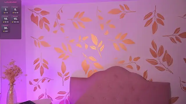 alix_bay webcam