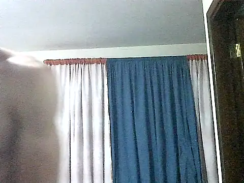 thomas2wood webcam