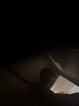 shehandme webcam