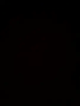 Bo9rma webcam