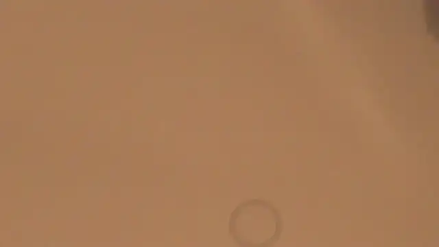 silvanarosse_ webcam